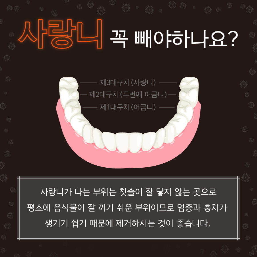 http://www.smstardental.com/bs/se2/imgup/1558159522KakaoTalk_20190427_164540055.jpg